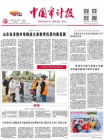 中国审计报